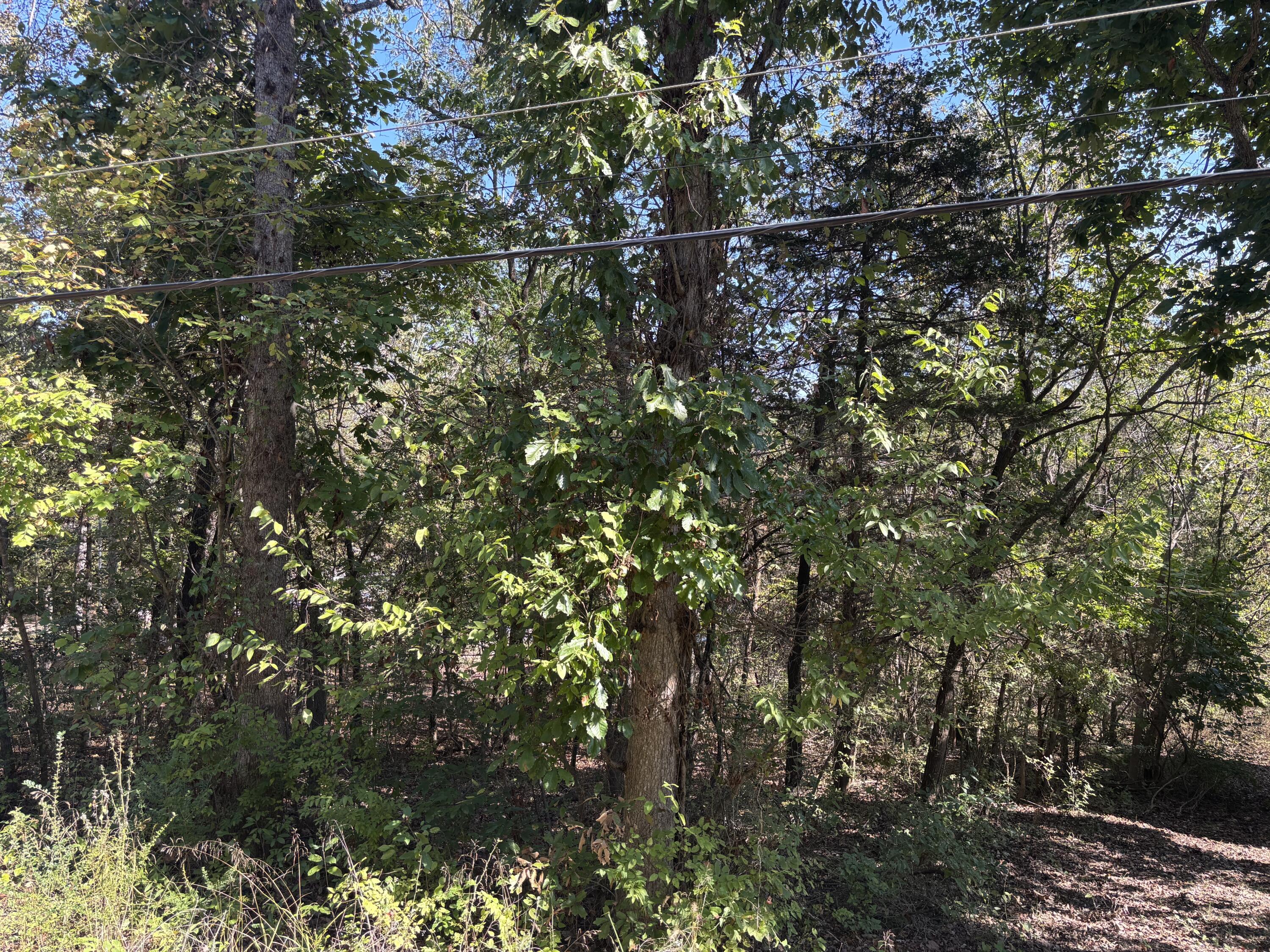 Photo 7 - Land for sale – Tbd W Lakeshore Drive   Cherokee Village, AR