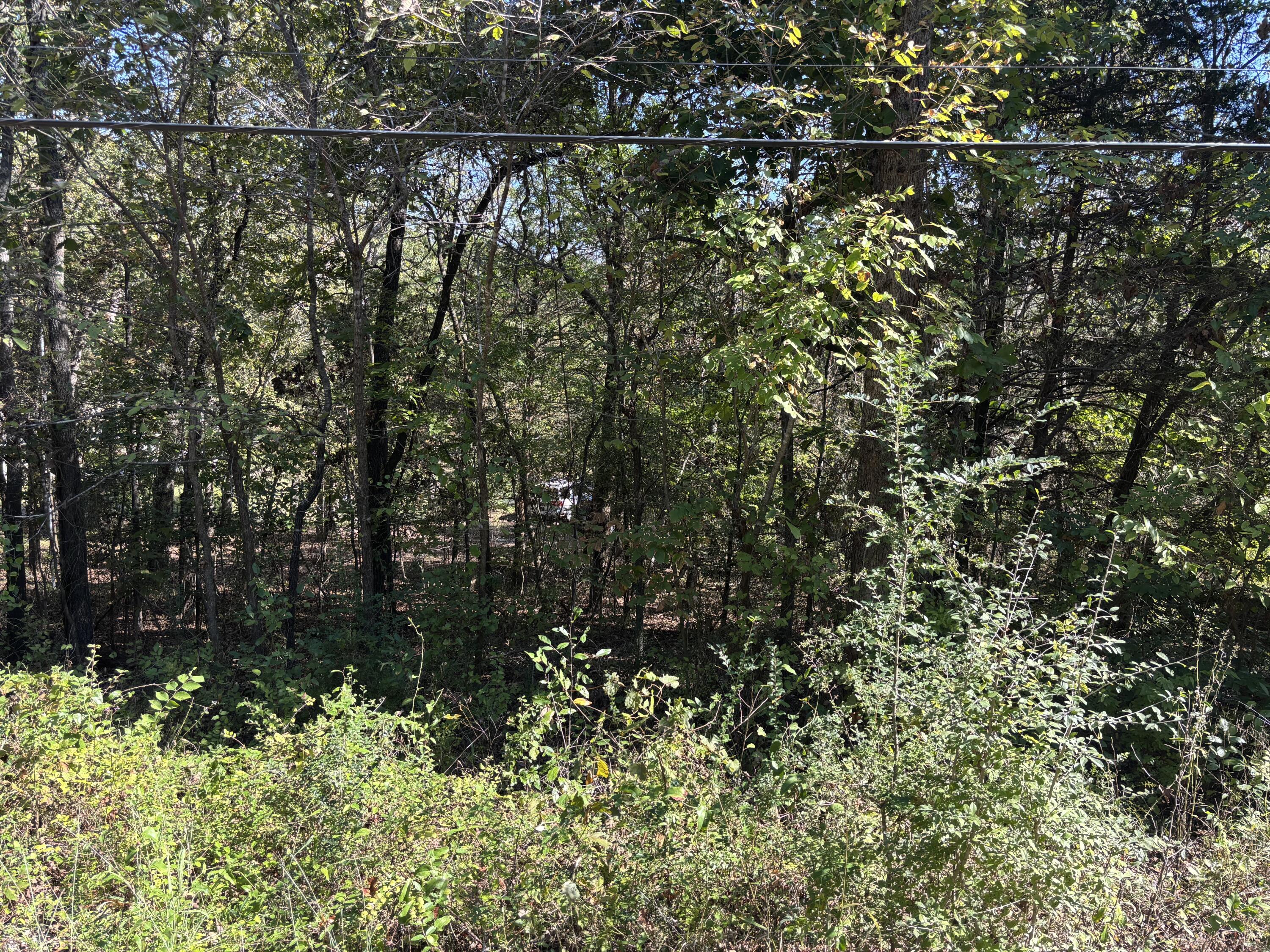 Photo 6 - Land for sale – Tbd W Lakeshore Drive   Cherokee Village, AR