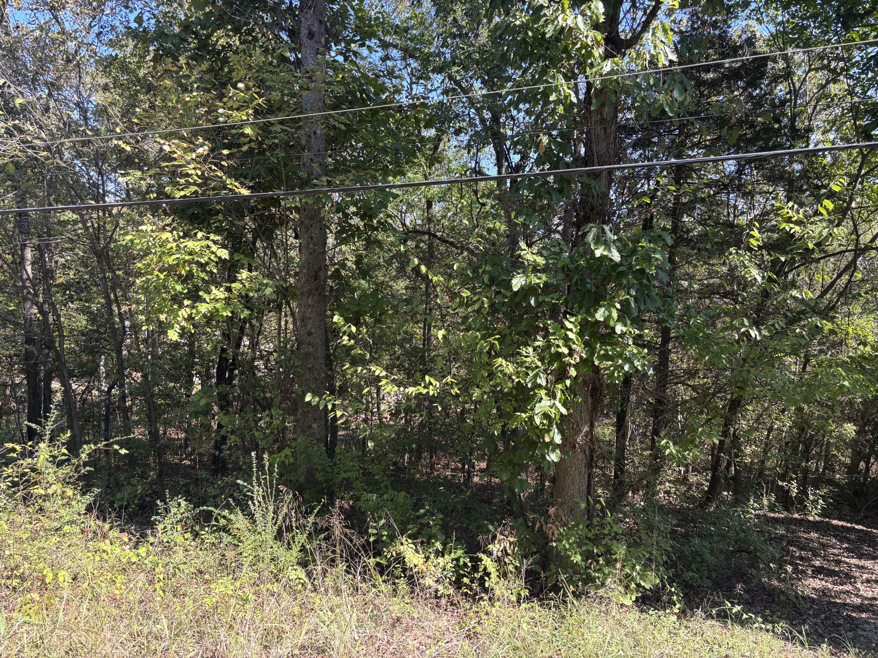 Photo 5 - Land for sale – Tbd W Lakeshore Drive   Cherokee Village, AR
