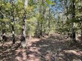 Photo 38 - Land for sale – 2904  Moark Road  Cedar Creek, MO