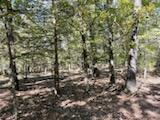 Photo 39 - Land for sale – 2904  Moark Road  Cedar Creek, MO