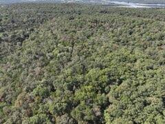 Photo 29 - Land for sale – 2904  Moark Road  Cedar Creek, MO