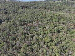 Photo 13 - Land for sale – 2904  Moark Road  Cedar Creek, MO