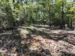Photo 9 - Land for sale – 2904  Moark Road  Cedar Creek, MO