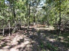 Photo 5 - Land for sale – 2904  Moark Road  Cedar Creek, MO