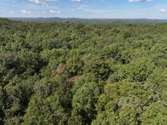 Photo 21 - Land for sale – 2904  Moark Road  Cedar Creek, MO