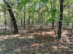 Photo 11 - Land for sale – 2904  Moark Road  Cedar Creek, MO