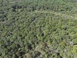 Photo 14 - Land for sale – 2904  Moark Road  Cedar Creek, MO