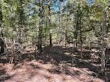 Photo 37 - Land for sale – 2904  Moark Road  Cedar Creek, MO