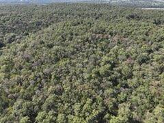 Photo 30 - Land for sale – 2904  Moark Road  Cedar Creek, MO