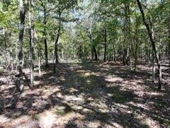 Photo 8 - Land for sale – 2904  Moark Road  Cedar Creek, MO