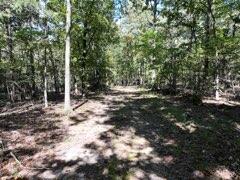 Photo 6 - Land for sale – 2904  Moark Road  Cedar Creek, MO