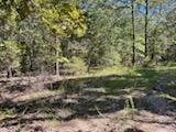 Photo 36 - Land for sale – 2904  Moark Road  Cedar Creek, MO