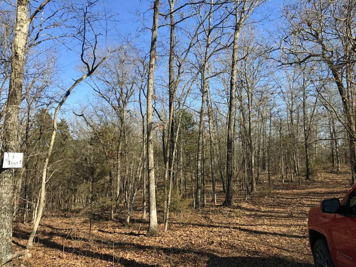 Photo 41 - Land for sale – 2904  Moark Road  Cedar Creek, MO