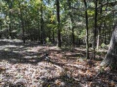 Photo 10 - Land for sale – 2904  Moark Road  Cedar Creek, MO