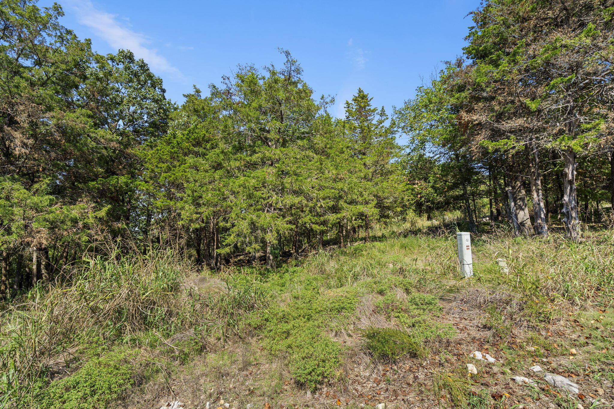 Photo 8 - Land for sale – 0  End Of Trail Drive  Branson, MO