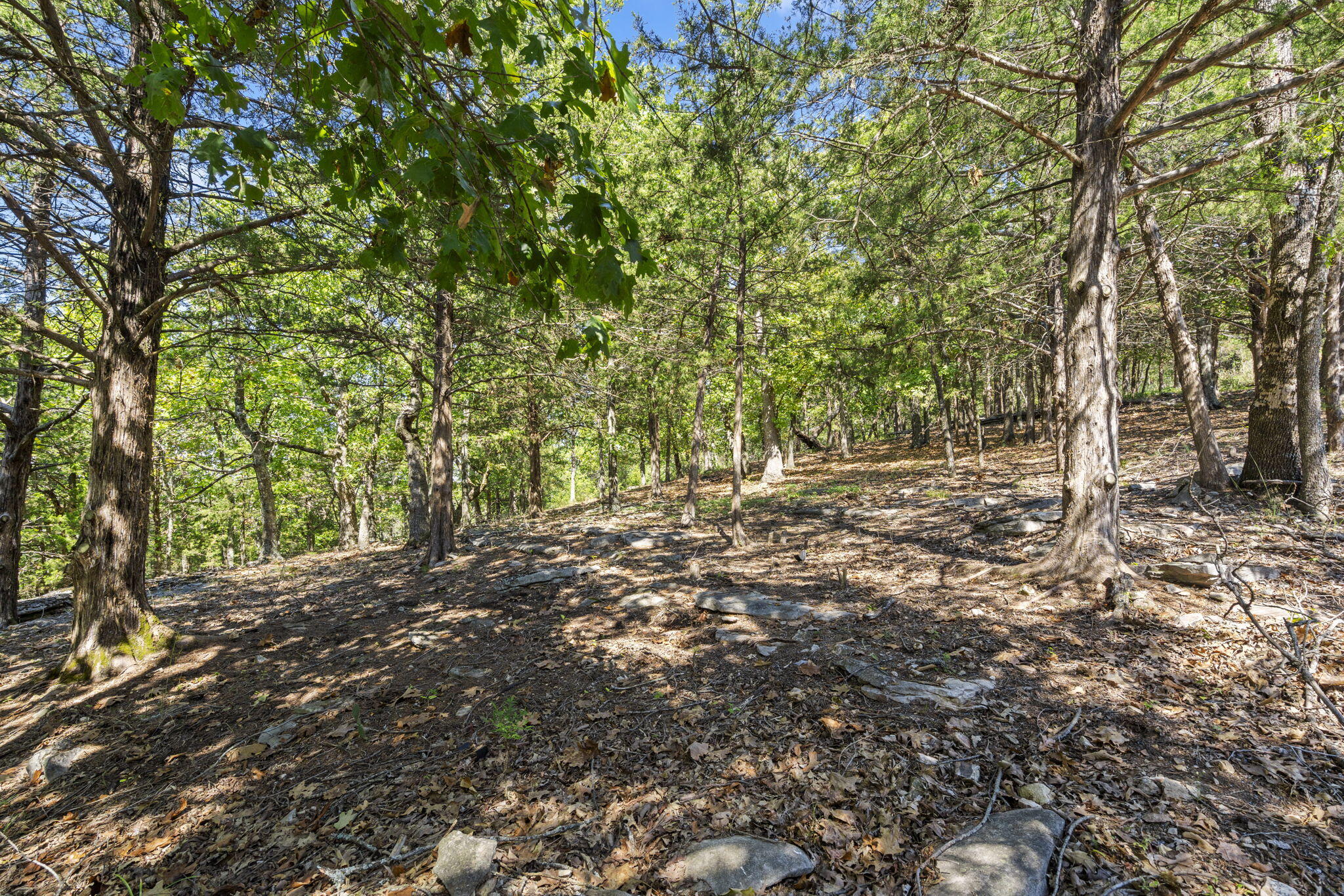 Photo 9 - Land for sale – 0  End Of Trail Drive  Branson, MO