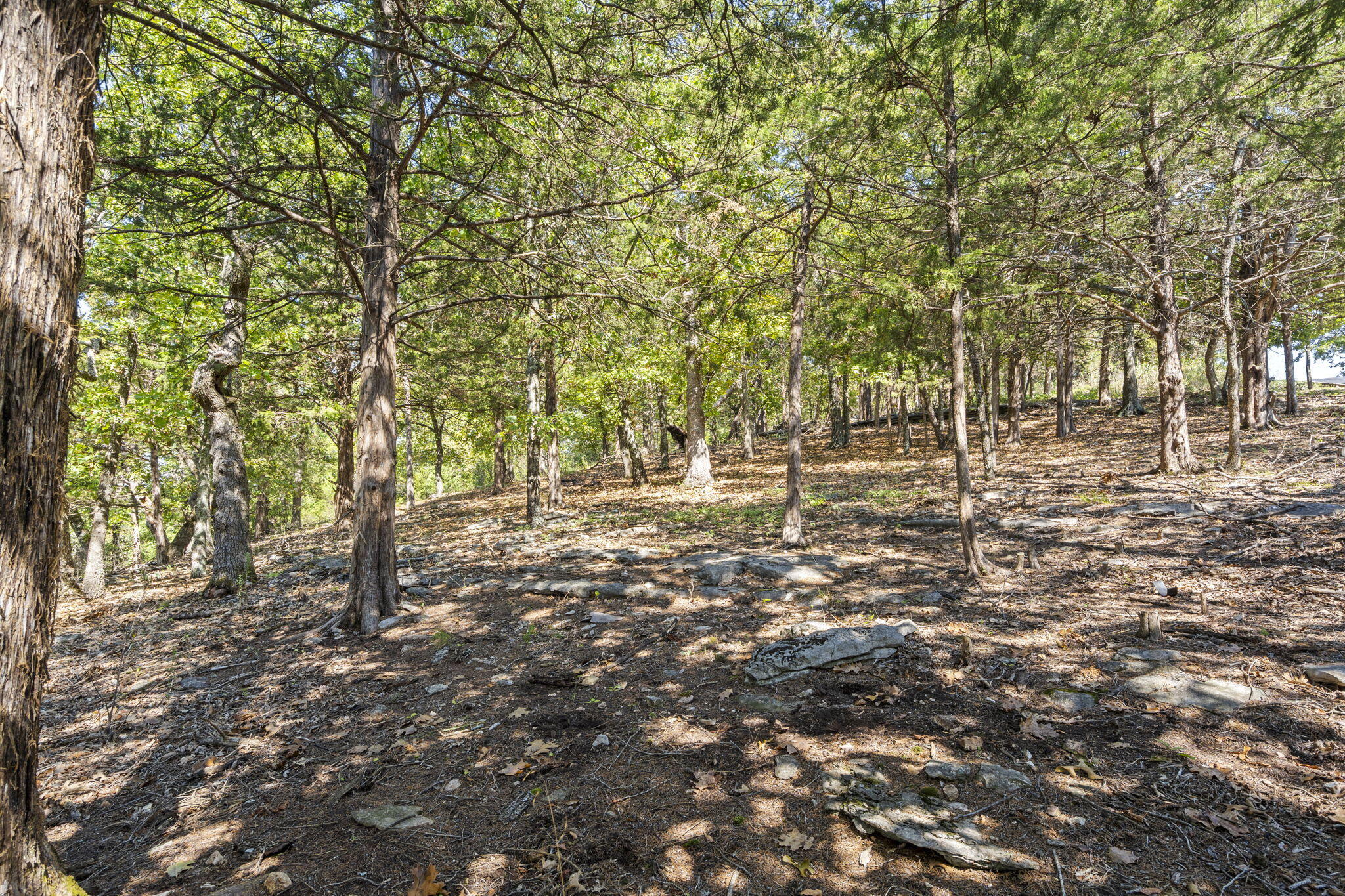 Photo 10 - Land for sale – 0  End Of Trail Drive  Branson, MO