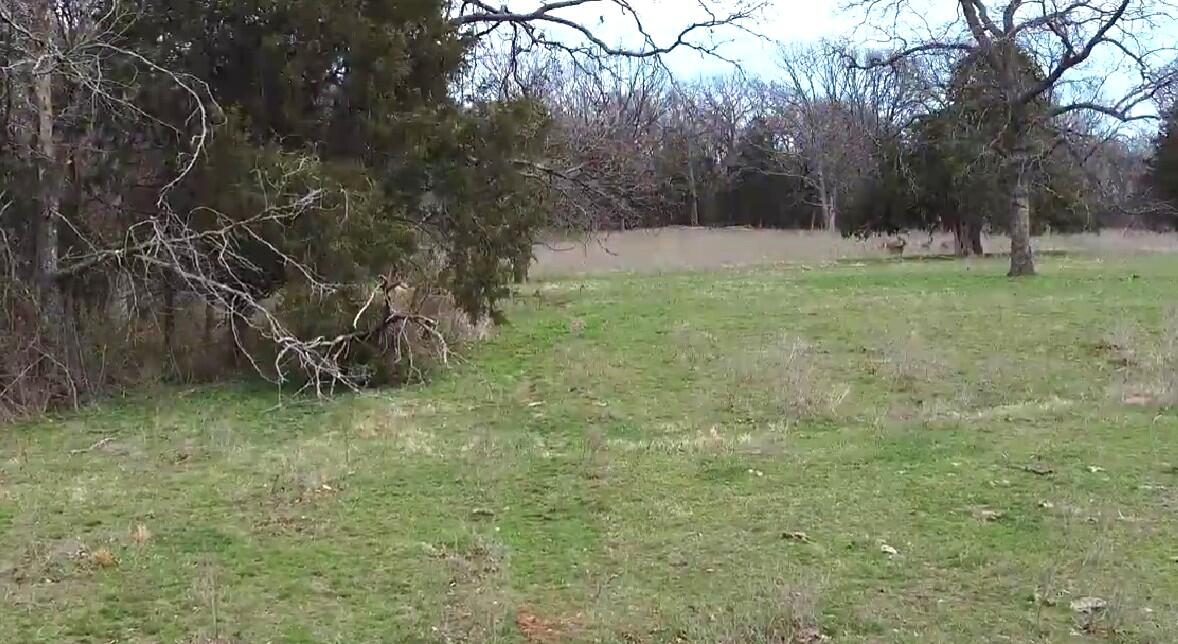 Photo 27 - Farm for sale – 476 E 380th Road  Dunnegan, MO