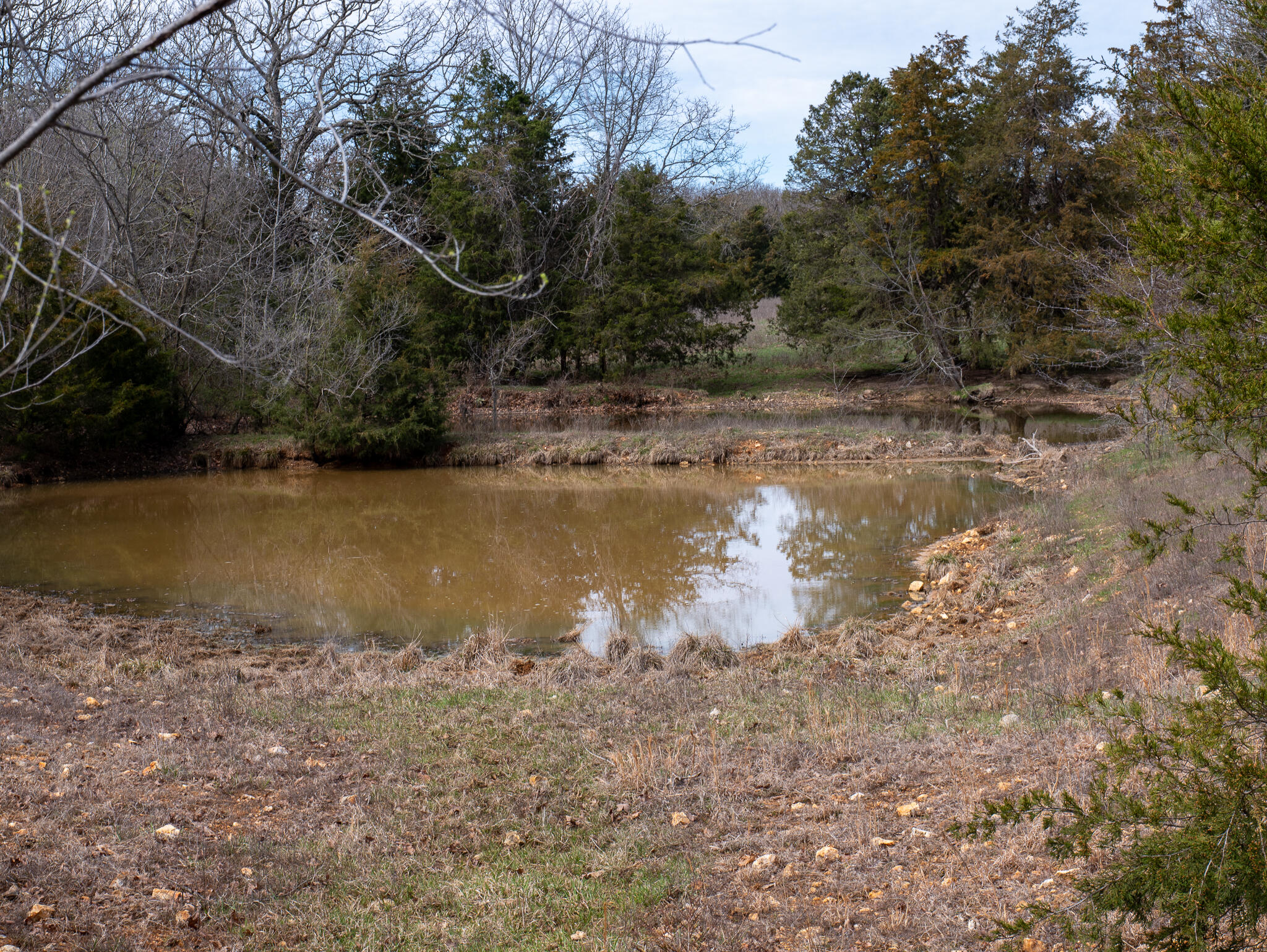 Photo 16 - Farm for sale – 476 E 380th Road  Dunnegan, MO