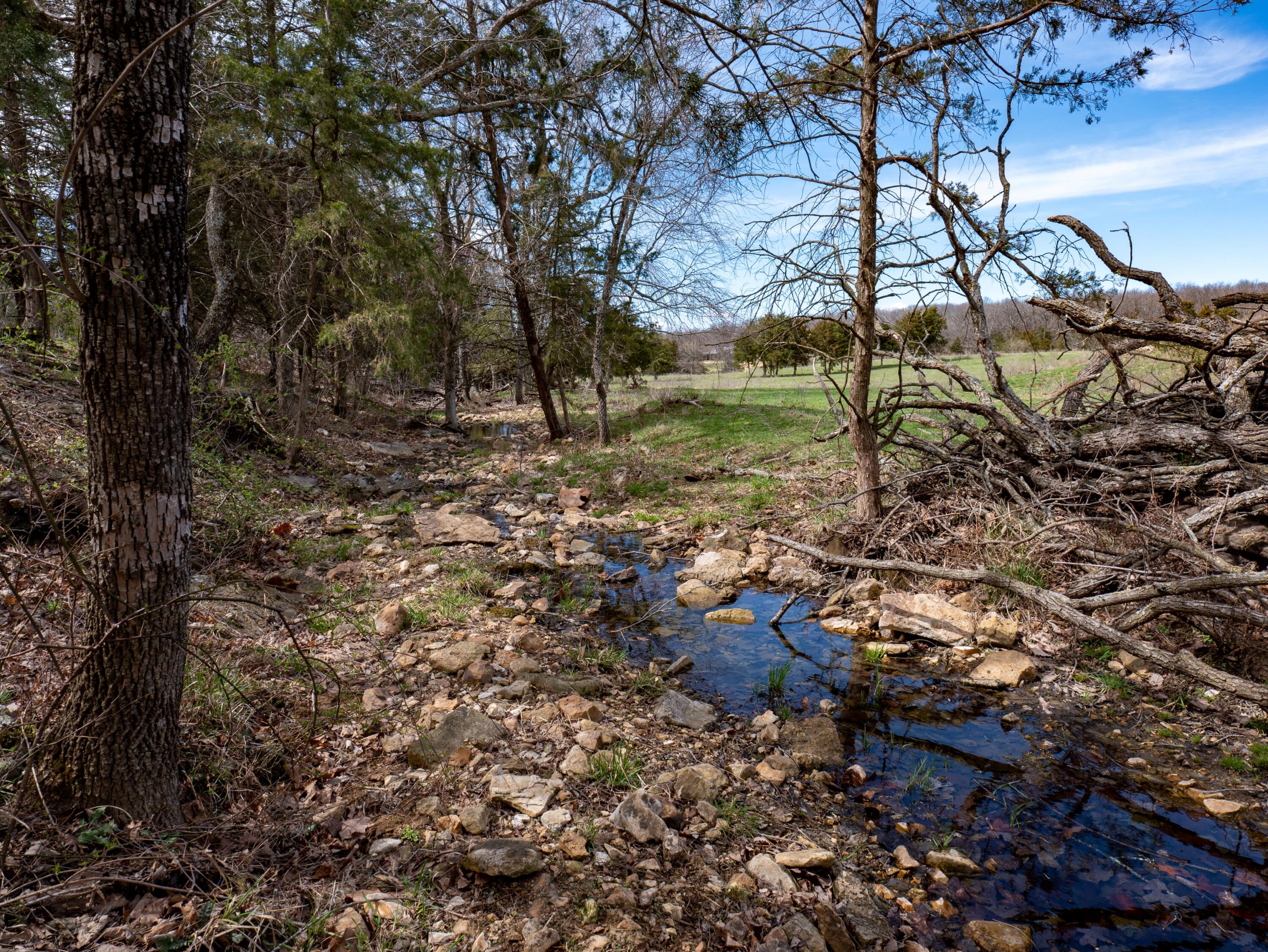 Photo 8 - Farm for sale – 476 E 380th Road  Dunnegan, MO