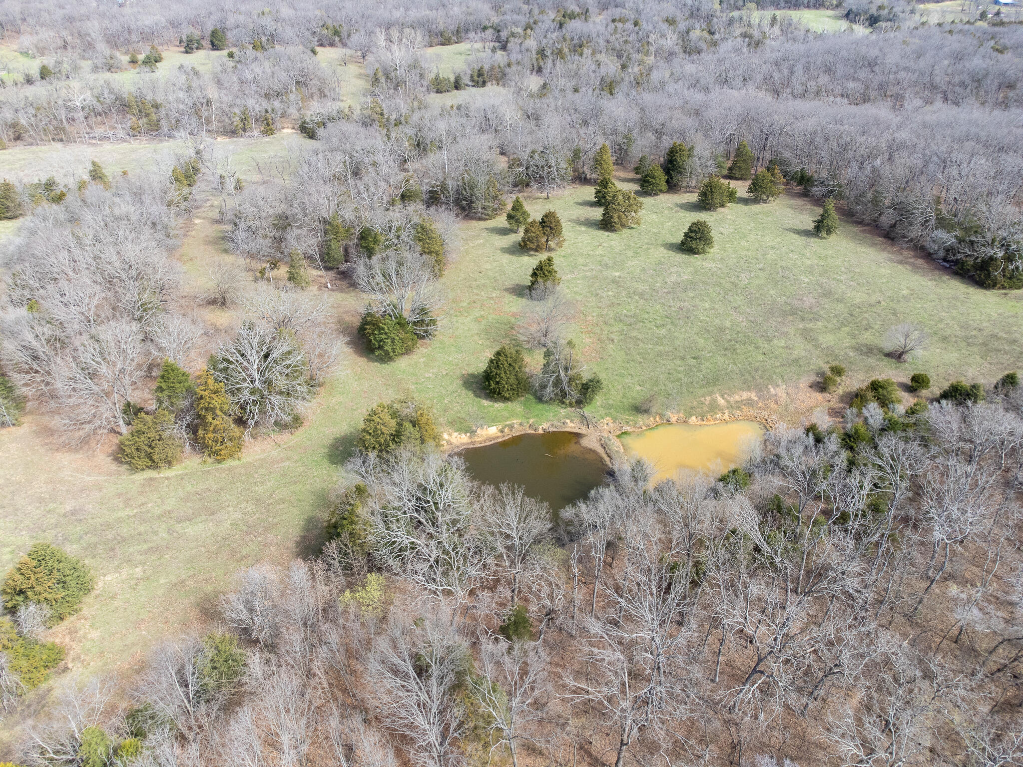 Photo 15 - Farm for sale – 476 E 380th Road  Dunnegan, MO