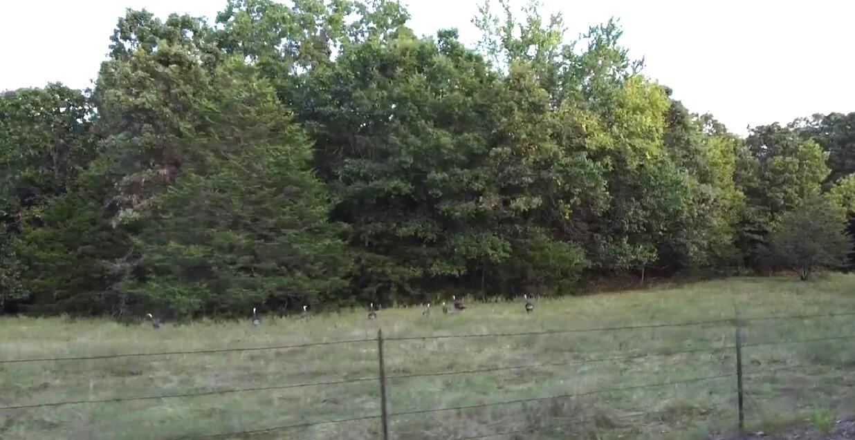 Photo 28 - Farm for sale – 476 E 380th Road  Dunnegan, MO