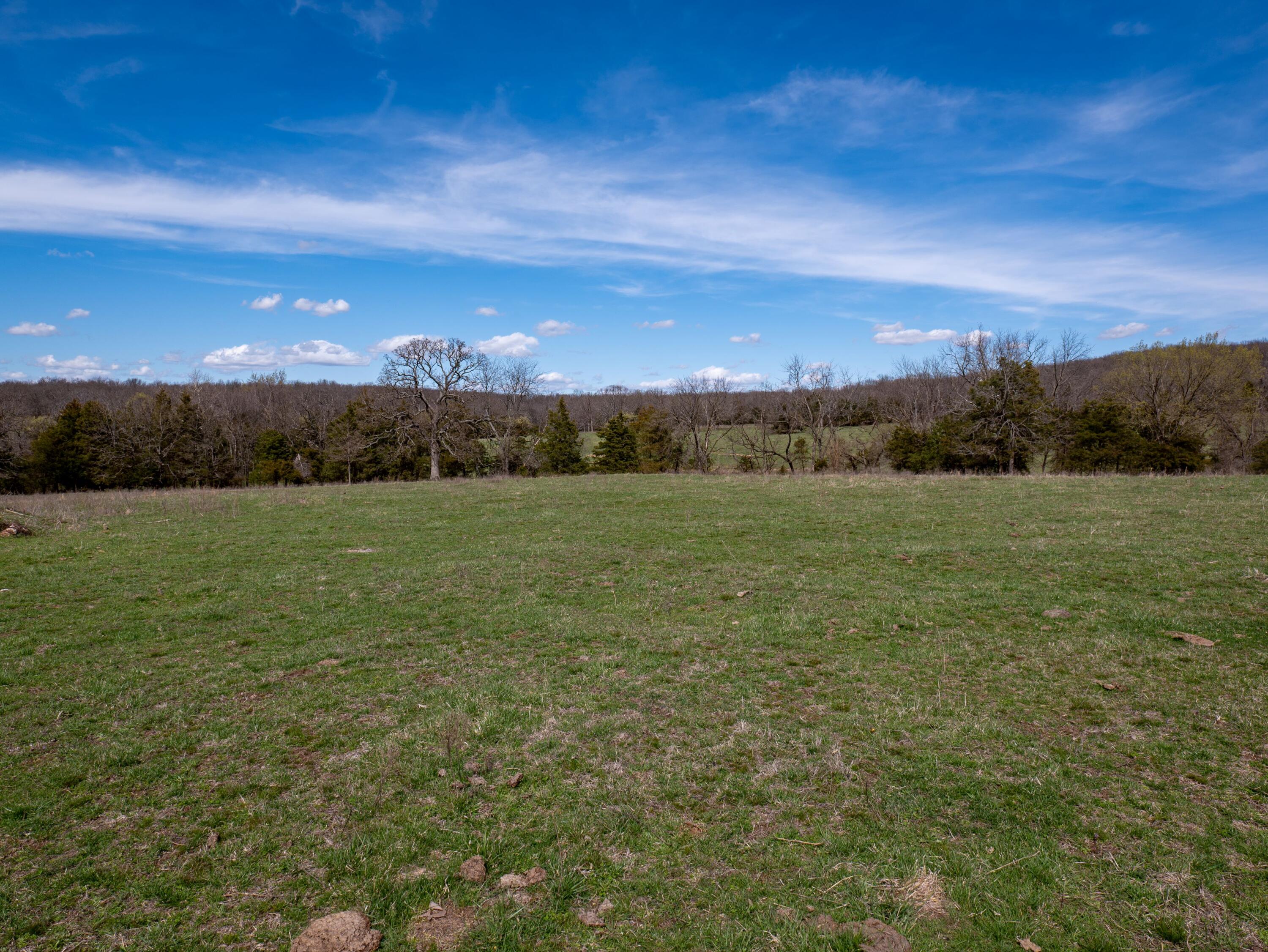 Photo 11 - Farm for sale – 476 E 380th Road  Dunnegan, MO