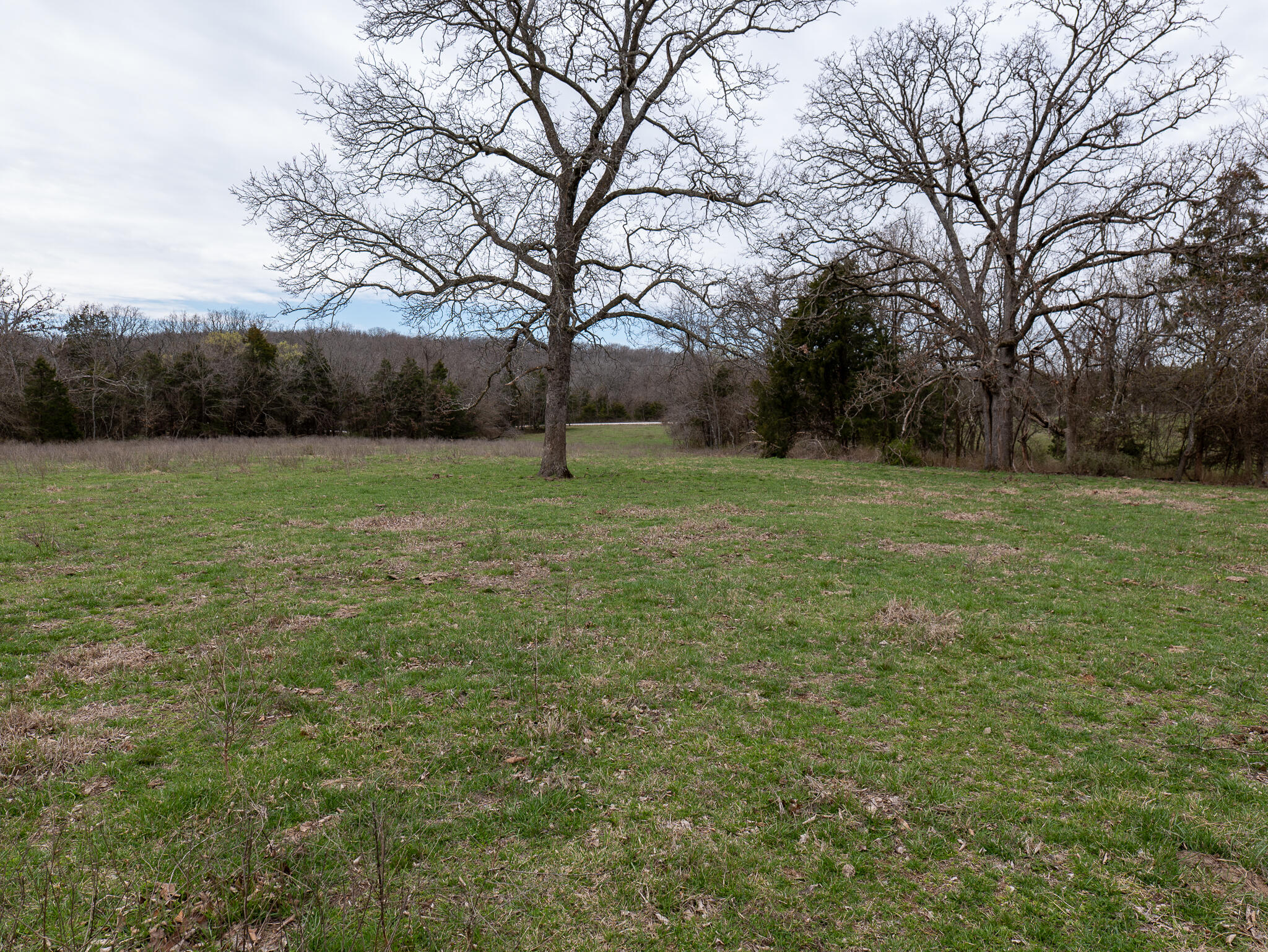 Photo 21 - Farm for sale – 476 E 380th Road  Dunnegan, MO