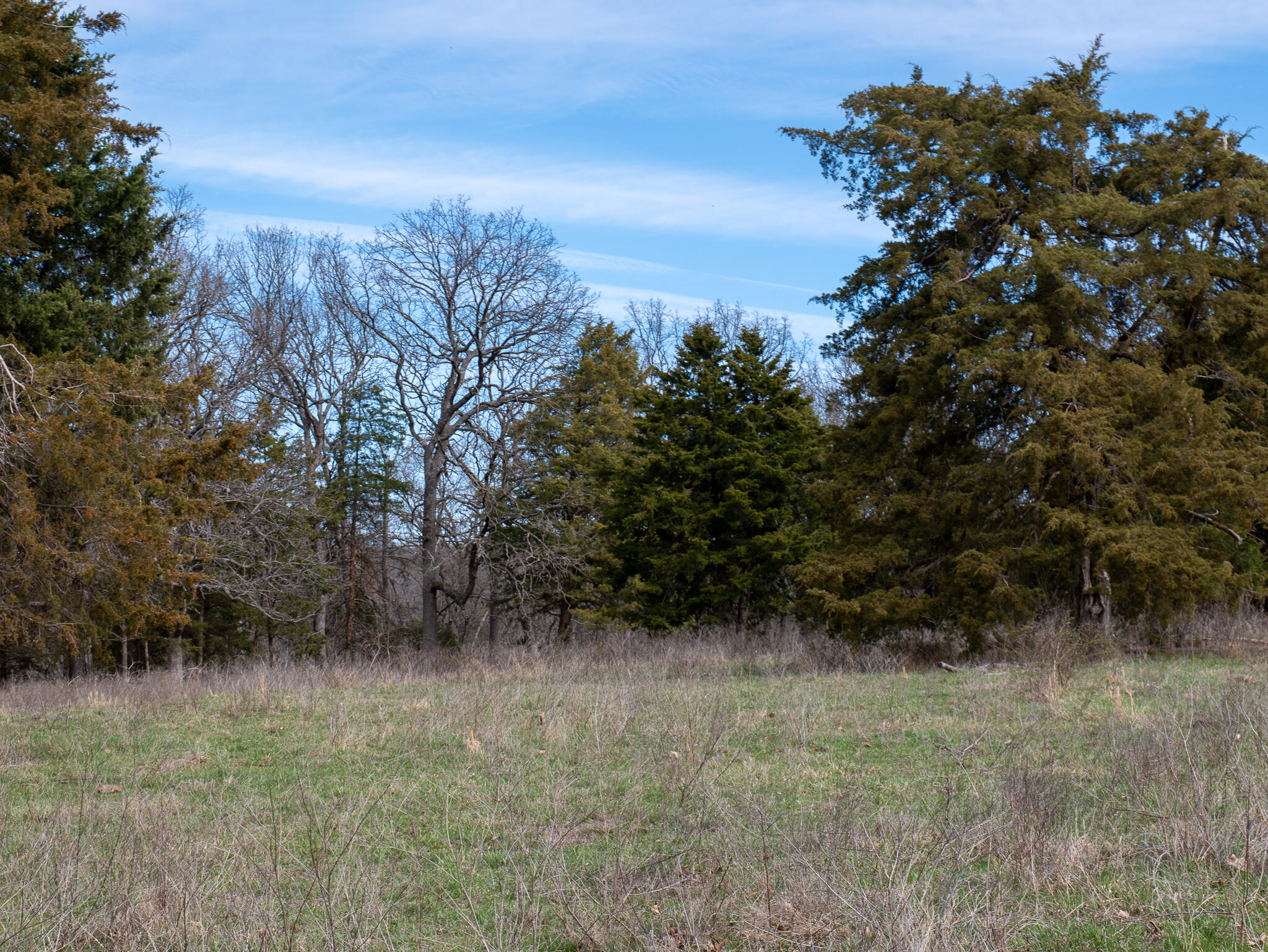 Photo 18 - Farm for sale – 476 E 380th Road  Dunnegan, MO