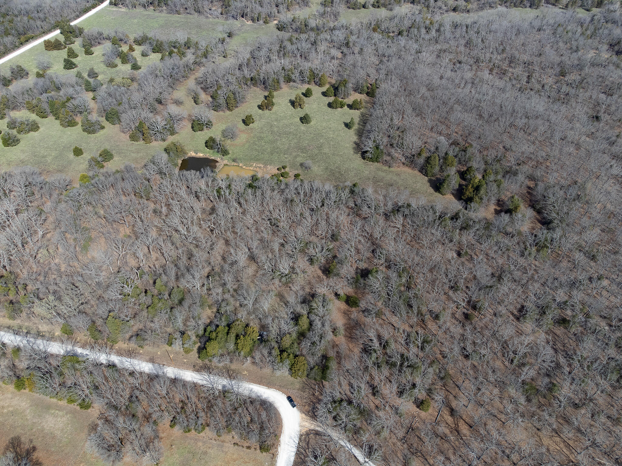 Photo 13 - Farm for sale – 476 E 380th Road  Dunnegan, MO