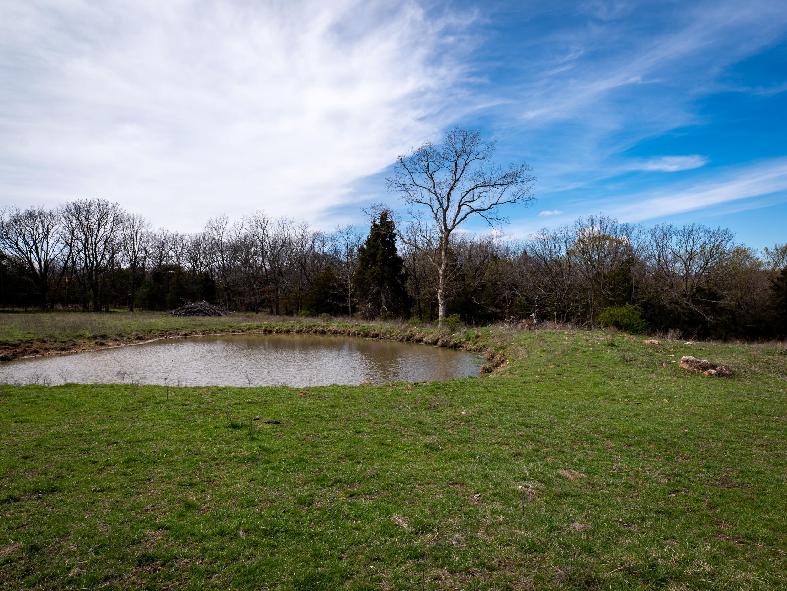 Photo 10 - Farm for sale – 476 E 380th Road  Dunnegan, MO
