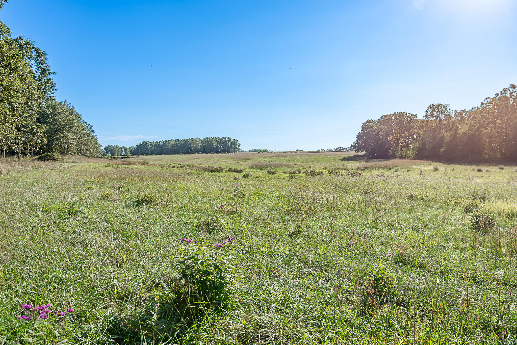Photo 72 - Farm for sale – 18007  Norton Drive  Phillipsburg, MO