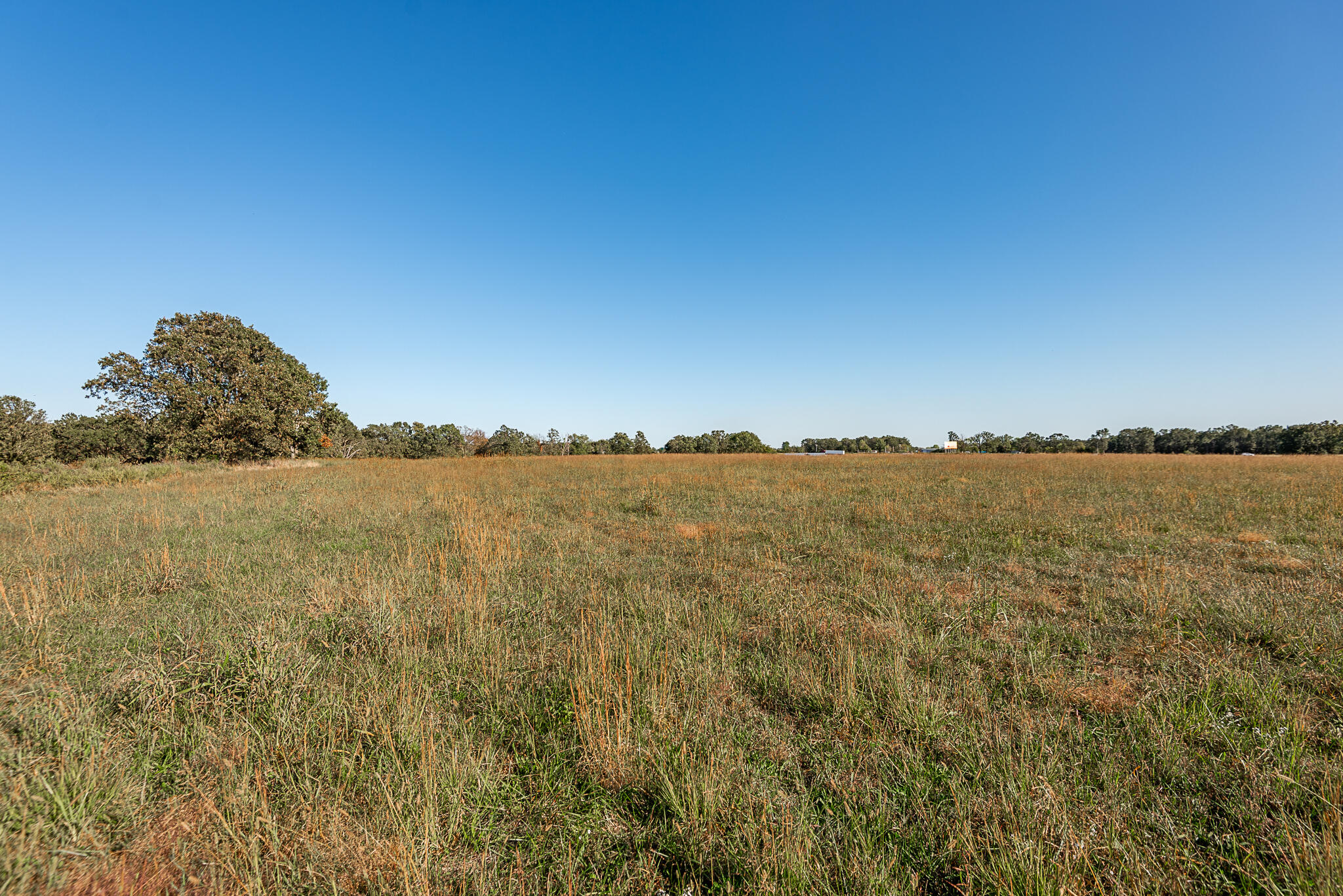 Photo 89 - Farm for sale – 18007  Norton Drive  Phillipsburg, MO