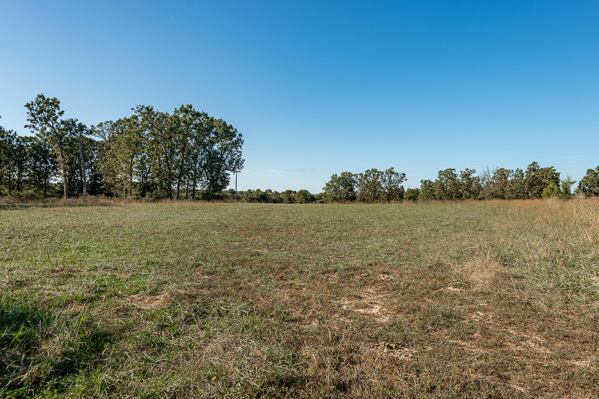 Photo 79 - Farm for sale – 18007  Norton Drive  Phillipsburg, MO