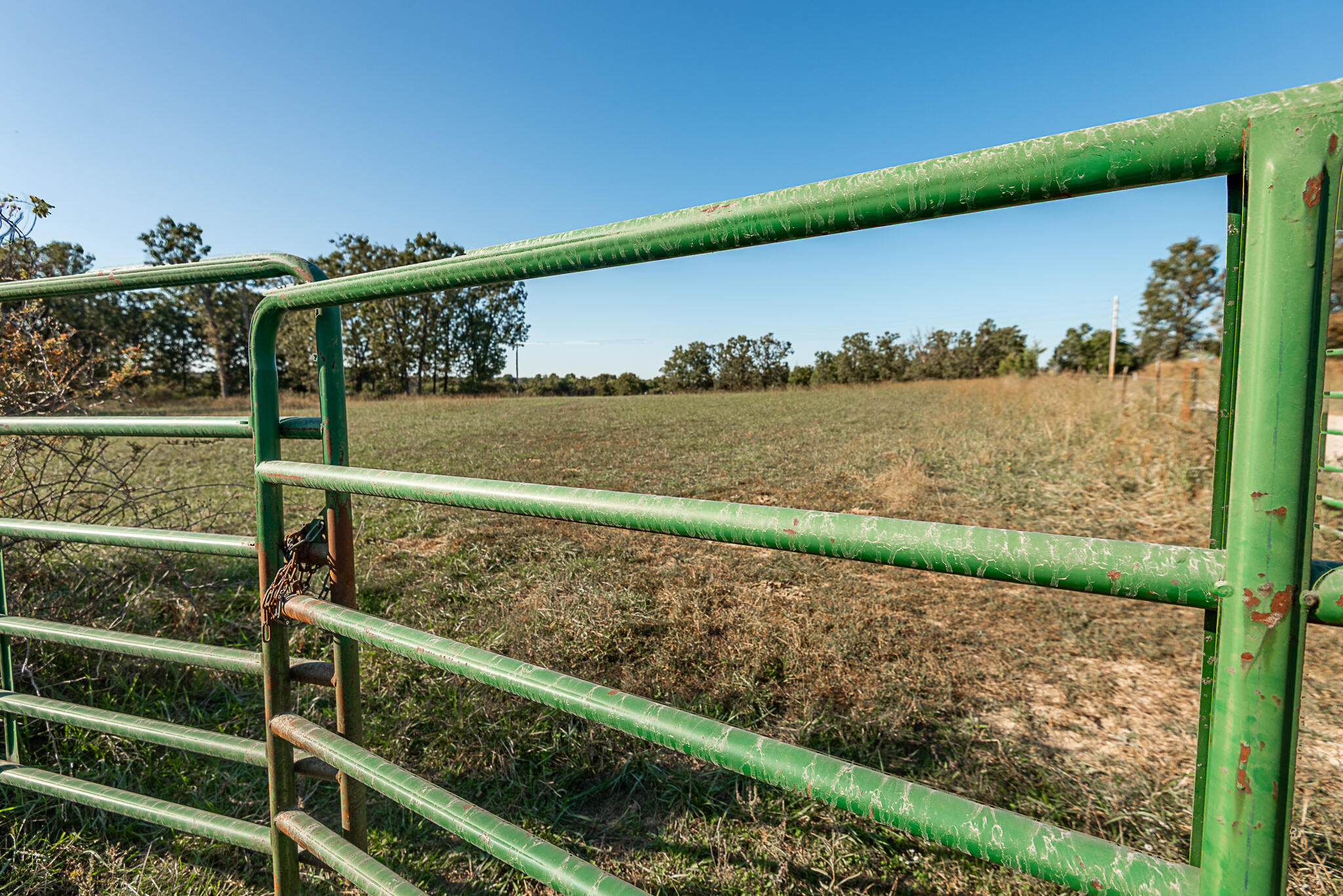 Photo 78 - Farm for sale – 18007  Norton Drive  Phillipsburg, MO