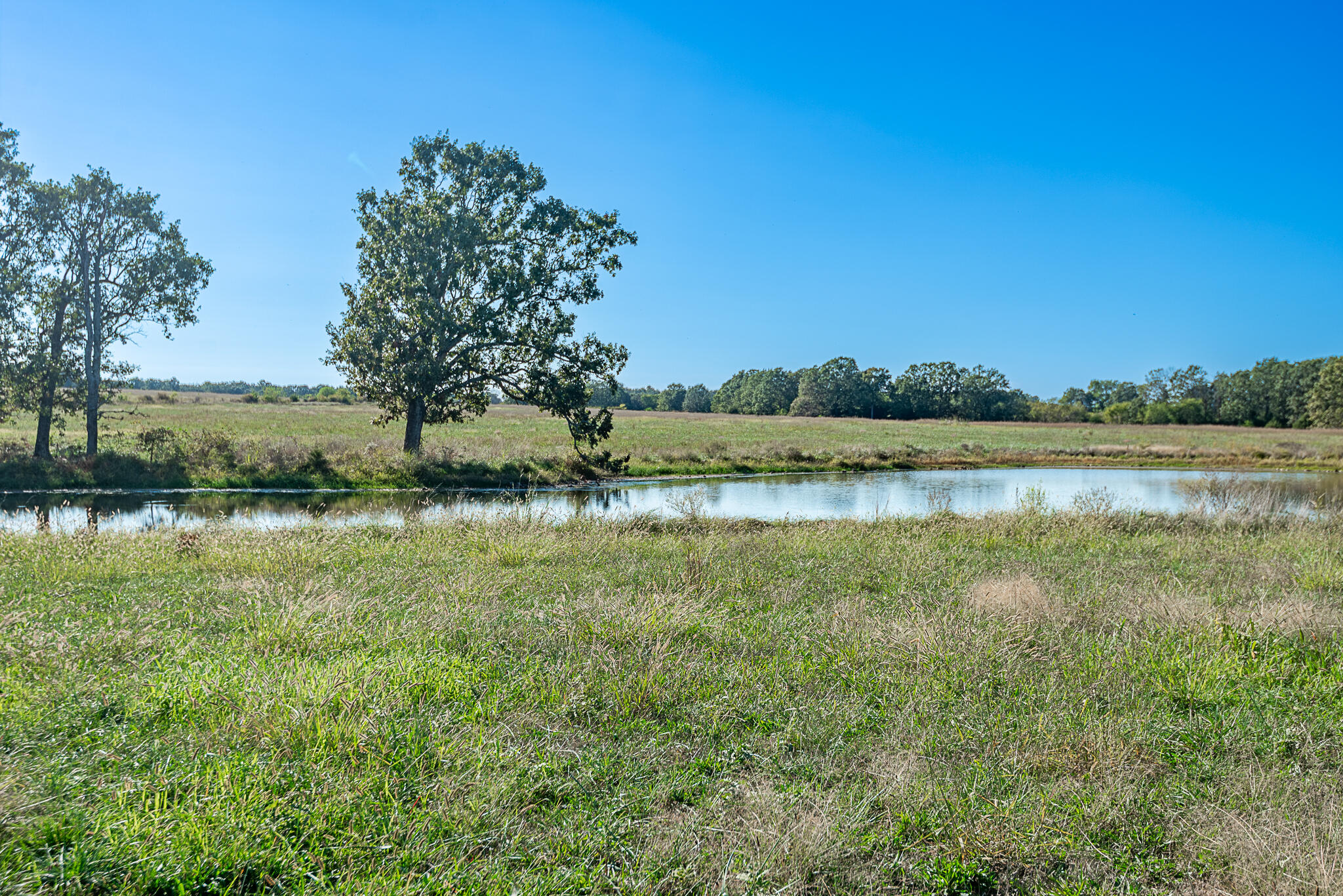 Photo 14 - Farm for sale – 18007  Norton Drive  Phillipsburg, MO
