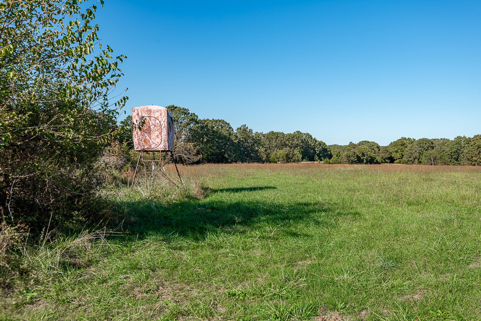 Photo 17 - Farm for sale – 18007  Norton Drive  Phillipsburg, MO