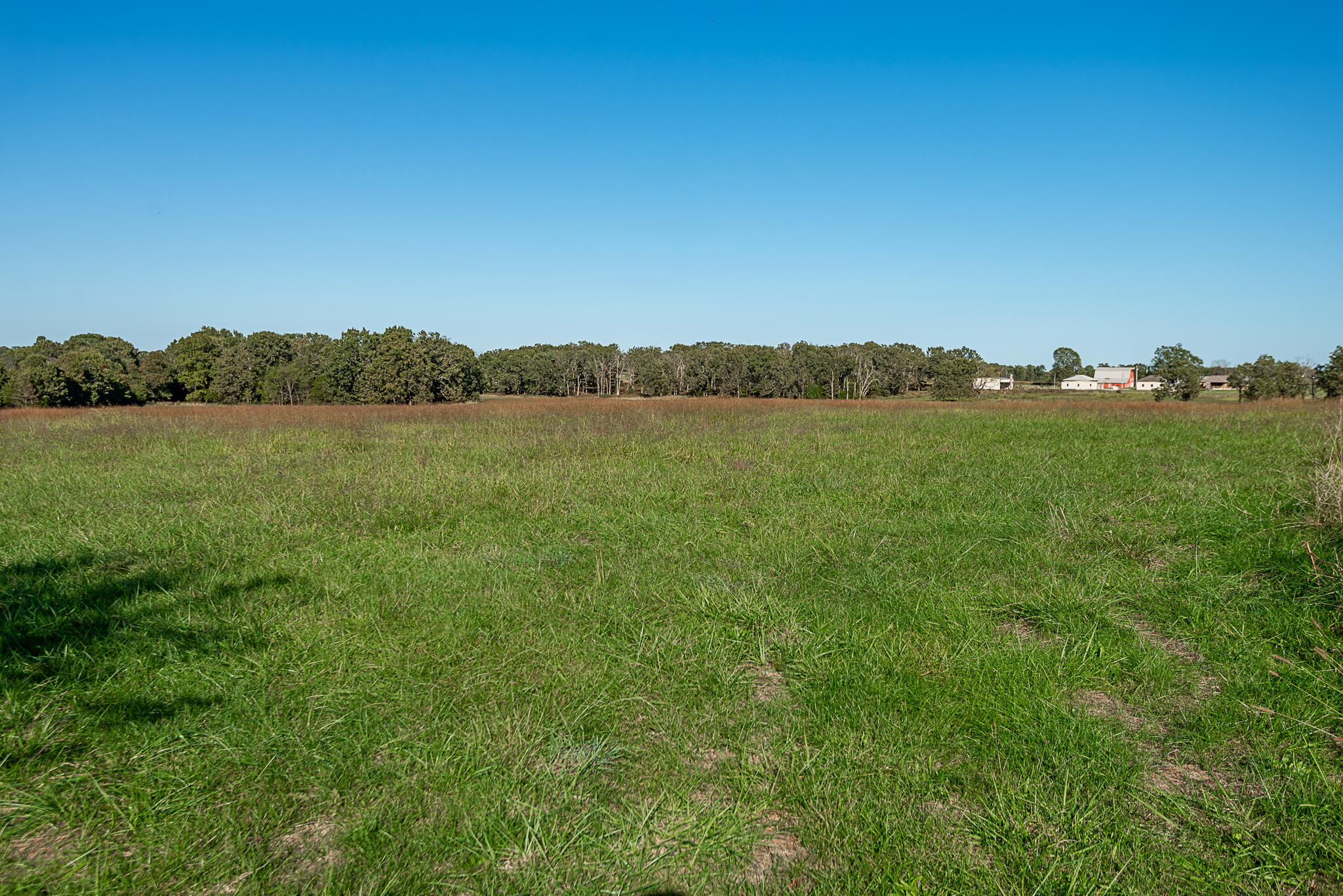 Photo 16 - Farm for sale – 18007  Norton Drive  Phillipsburg, MO
