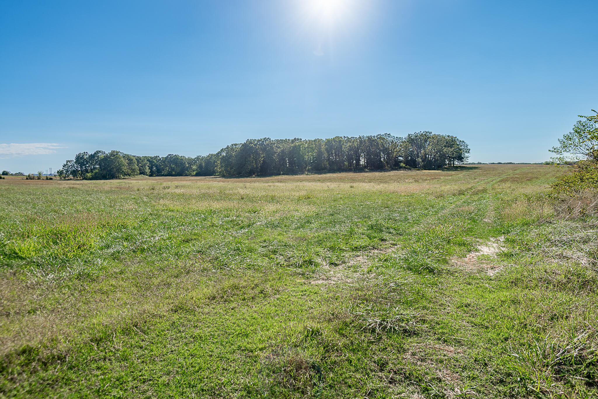 Photo 62 - Farm for sale – 18007  Norton Drive  Phillipsburg, MO