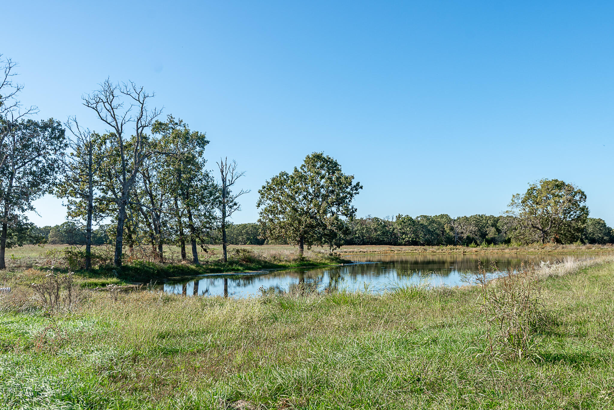 Photo 61 - Farm for sale – 18007  Norton Drive  Phillipsburg, MO