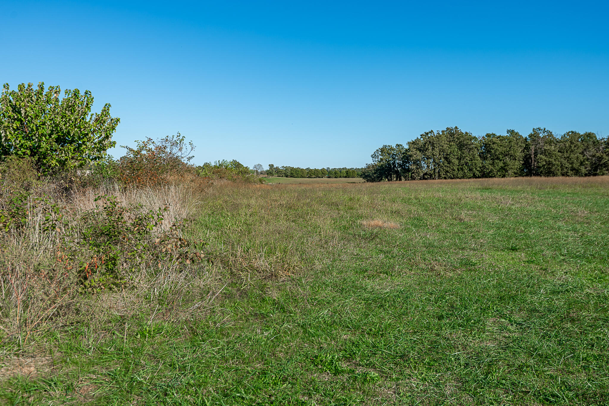 Photo 70 - Farm for sale – 18007  Norton Drive  Phillipsburg, MO