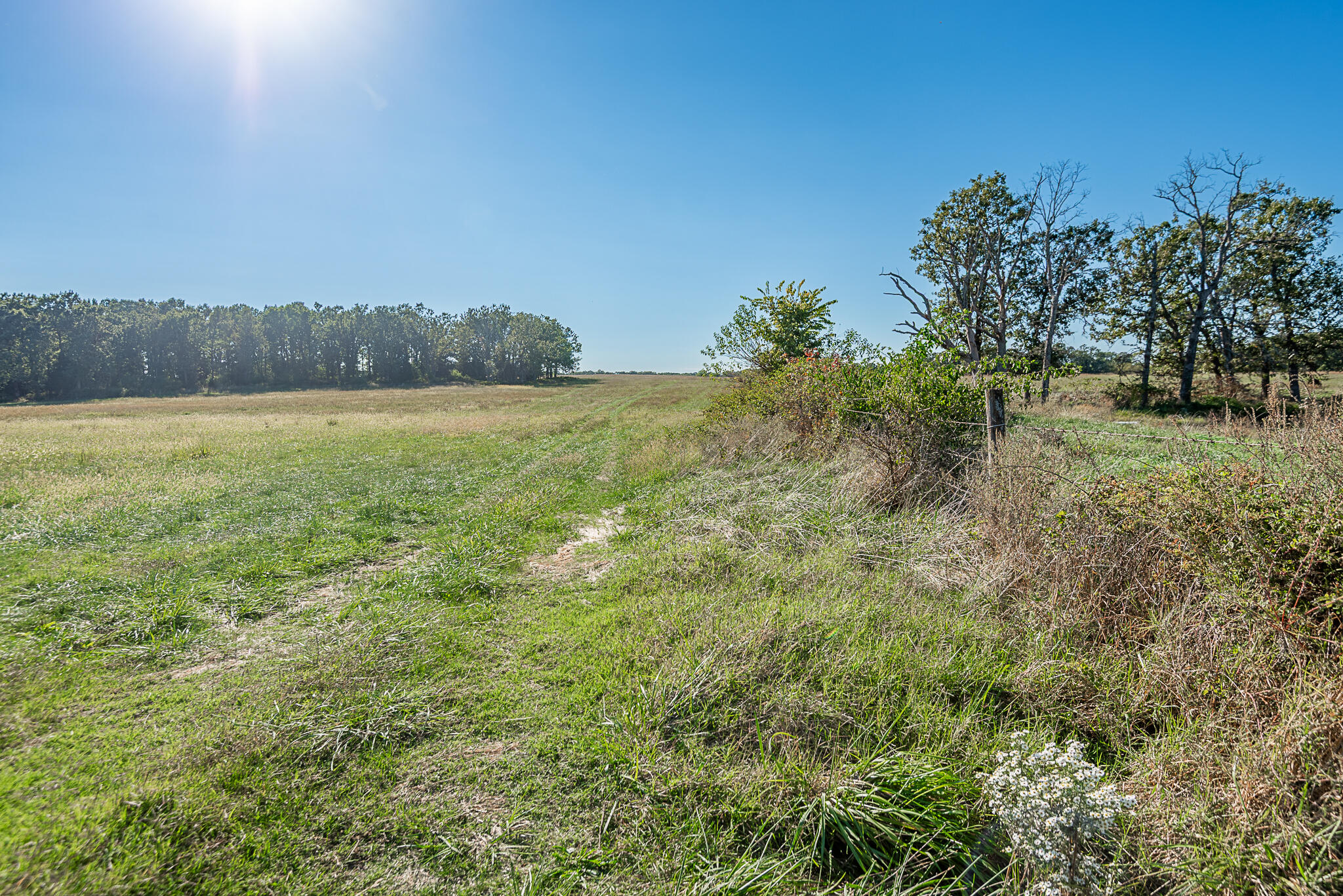 Photo 63 - Farm for sale – 18007  Norton Drive  Phillipsburg, MO