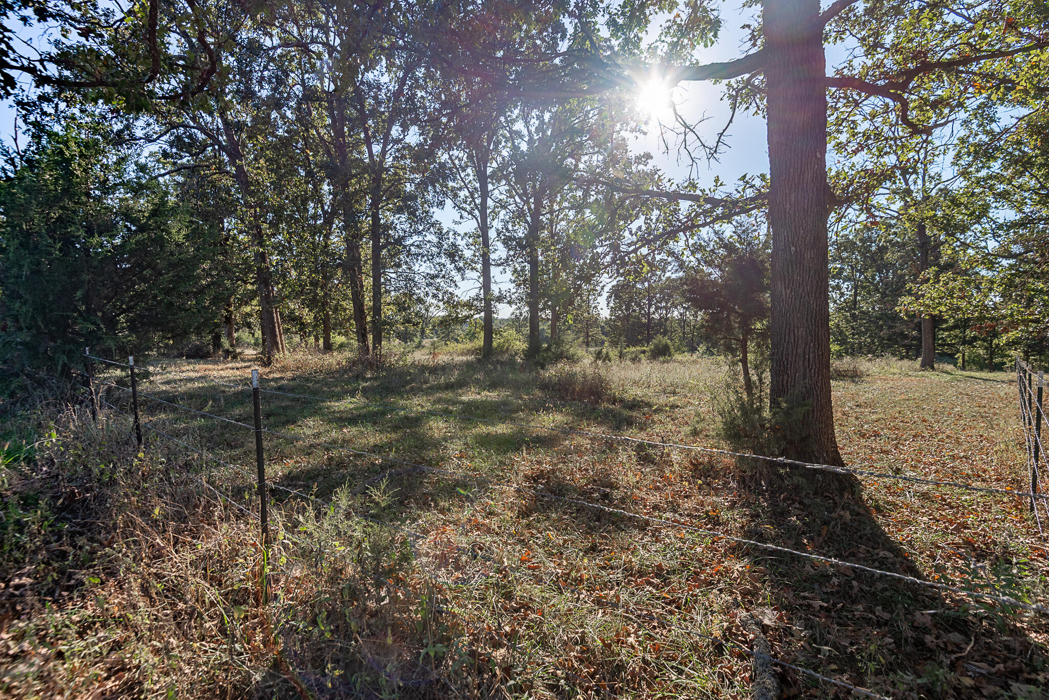 Photo 81 - Farm for sale – 18007  Norton Drive  Phillipsburg, MO