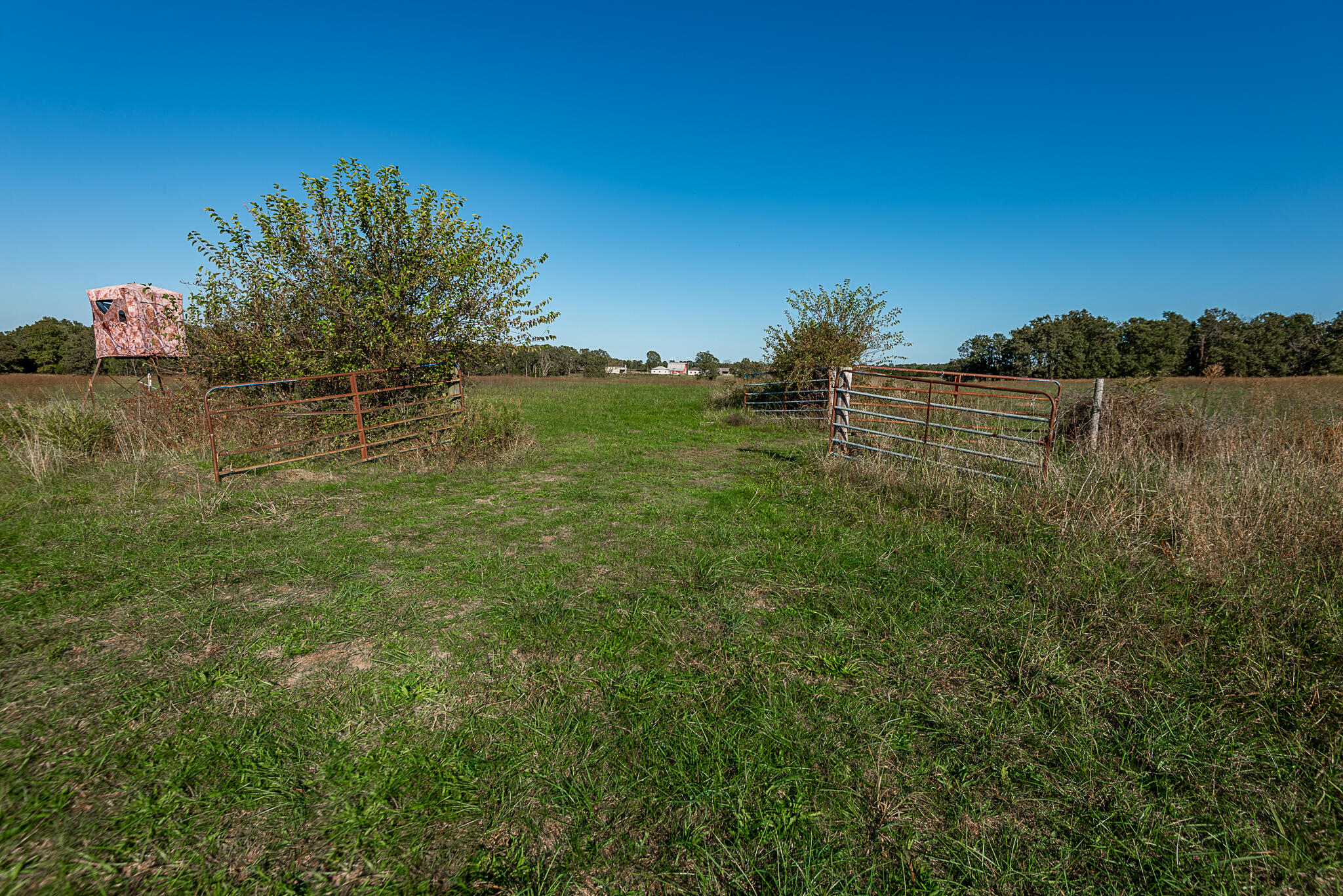 Photo 67 - Farm for sale – 18007  Norton Drive  Phillipsburg, MO