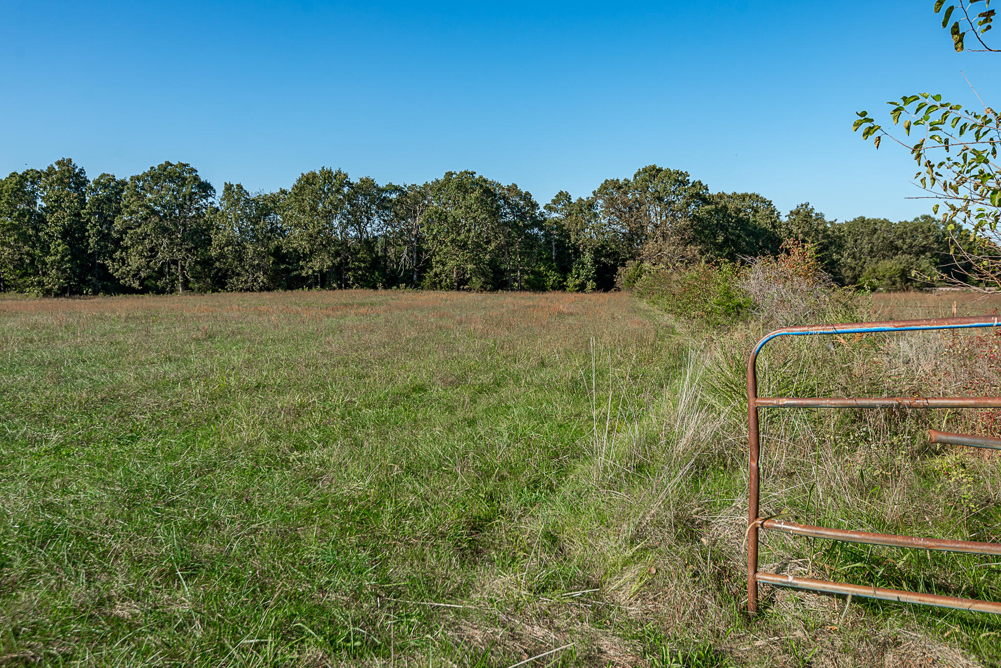 Photo 65 - Farm for sale – 18007  Norton Drive  Phillipsburg, MO