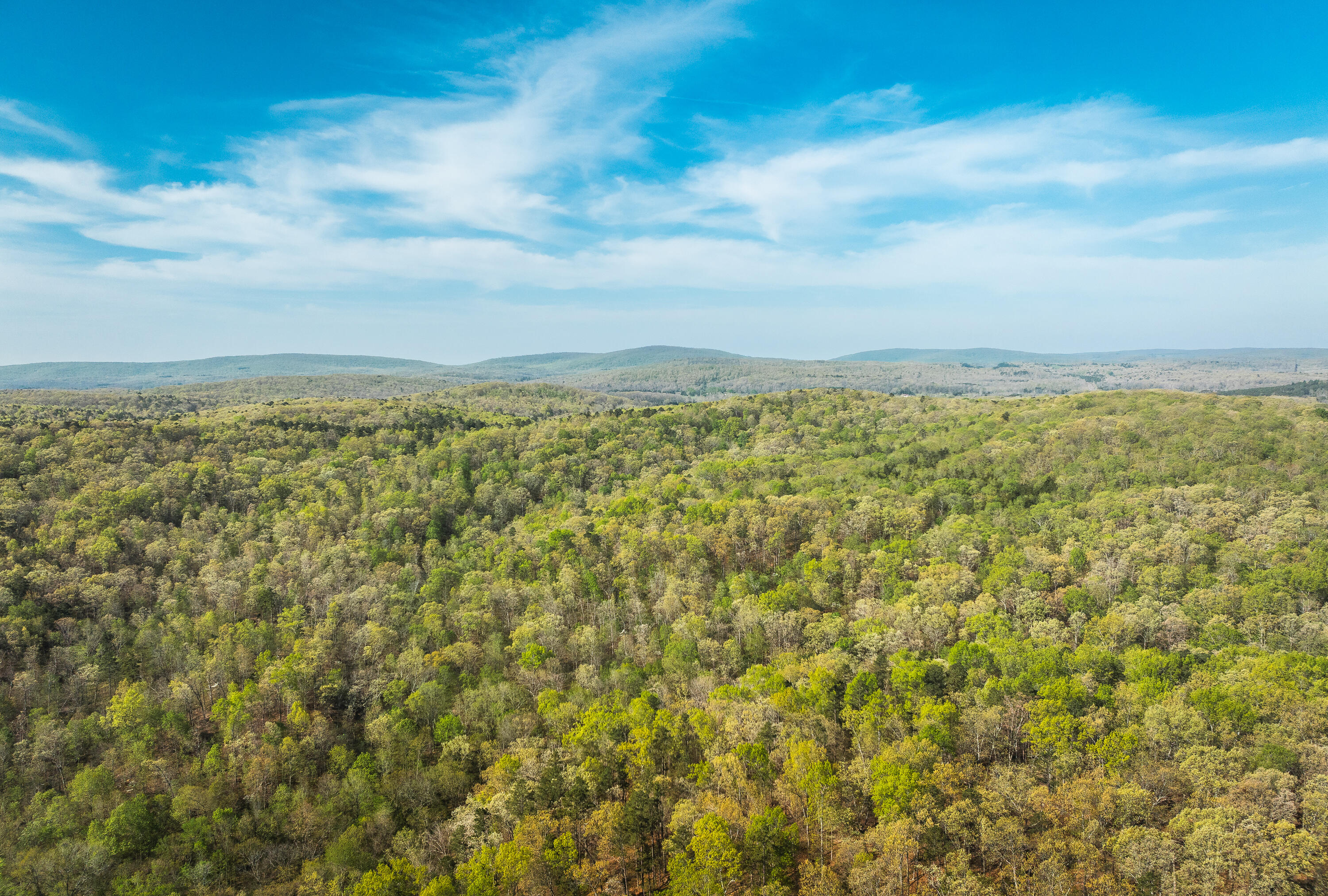 Photo 48 - Land for sale – 260  Kentucky Derby Lane  Arcadia, MO
