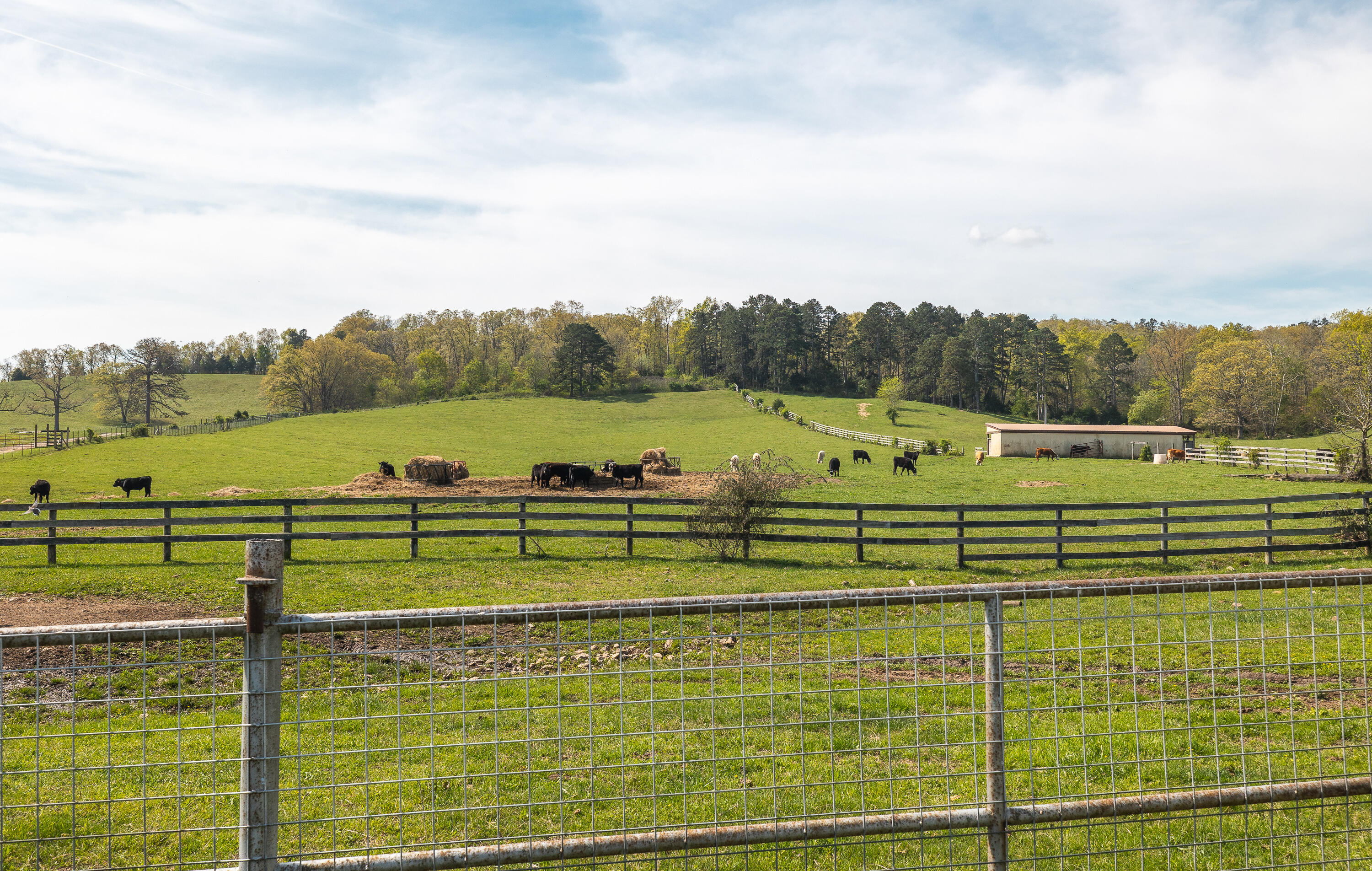Photo 43 - Land for sale – 260  Kentucky Derby Lane  Arcadia, MO