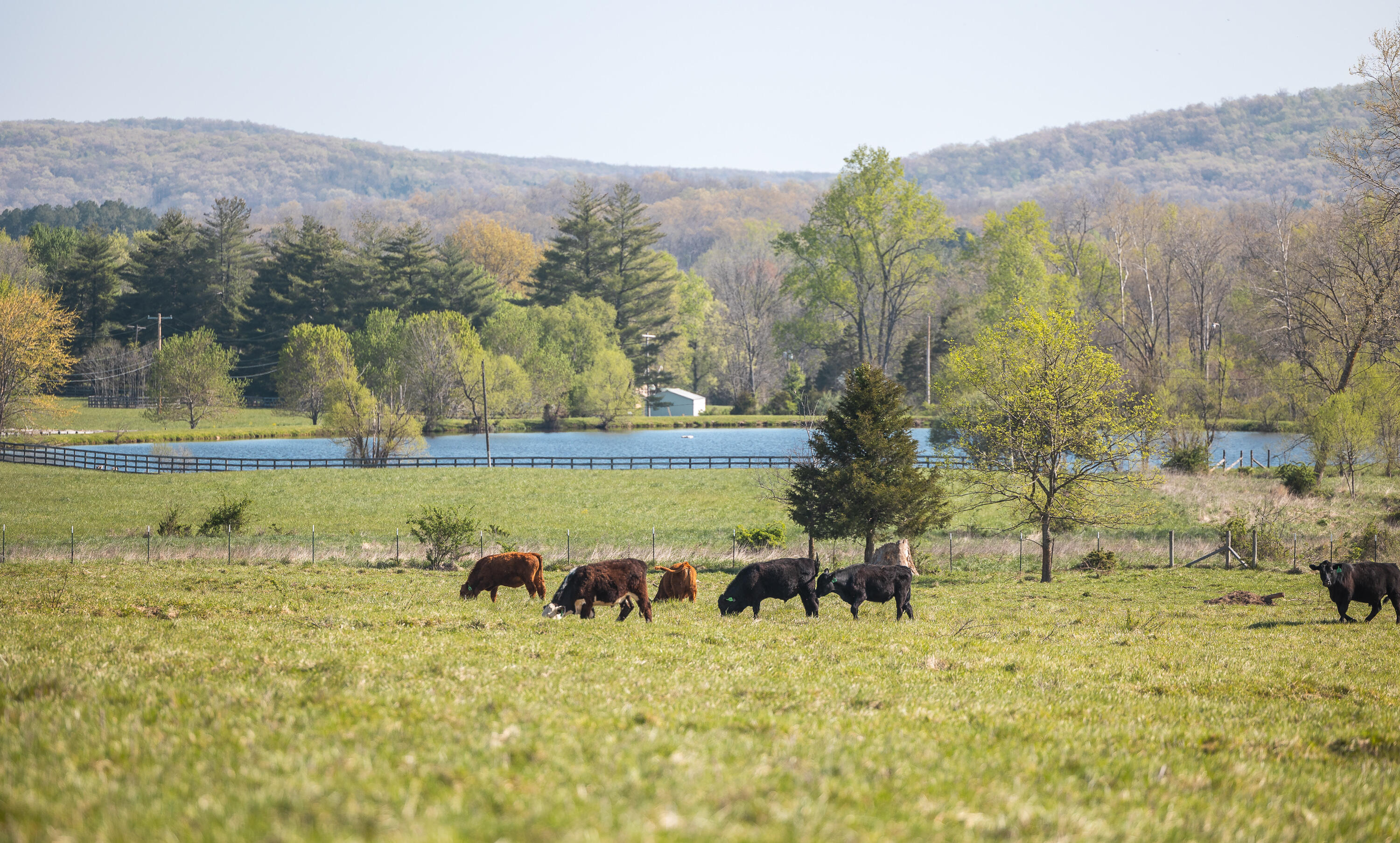 Photo 16 - Land for sale – 260  Kentucky Derby Lane  Arcadia, MO
