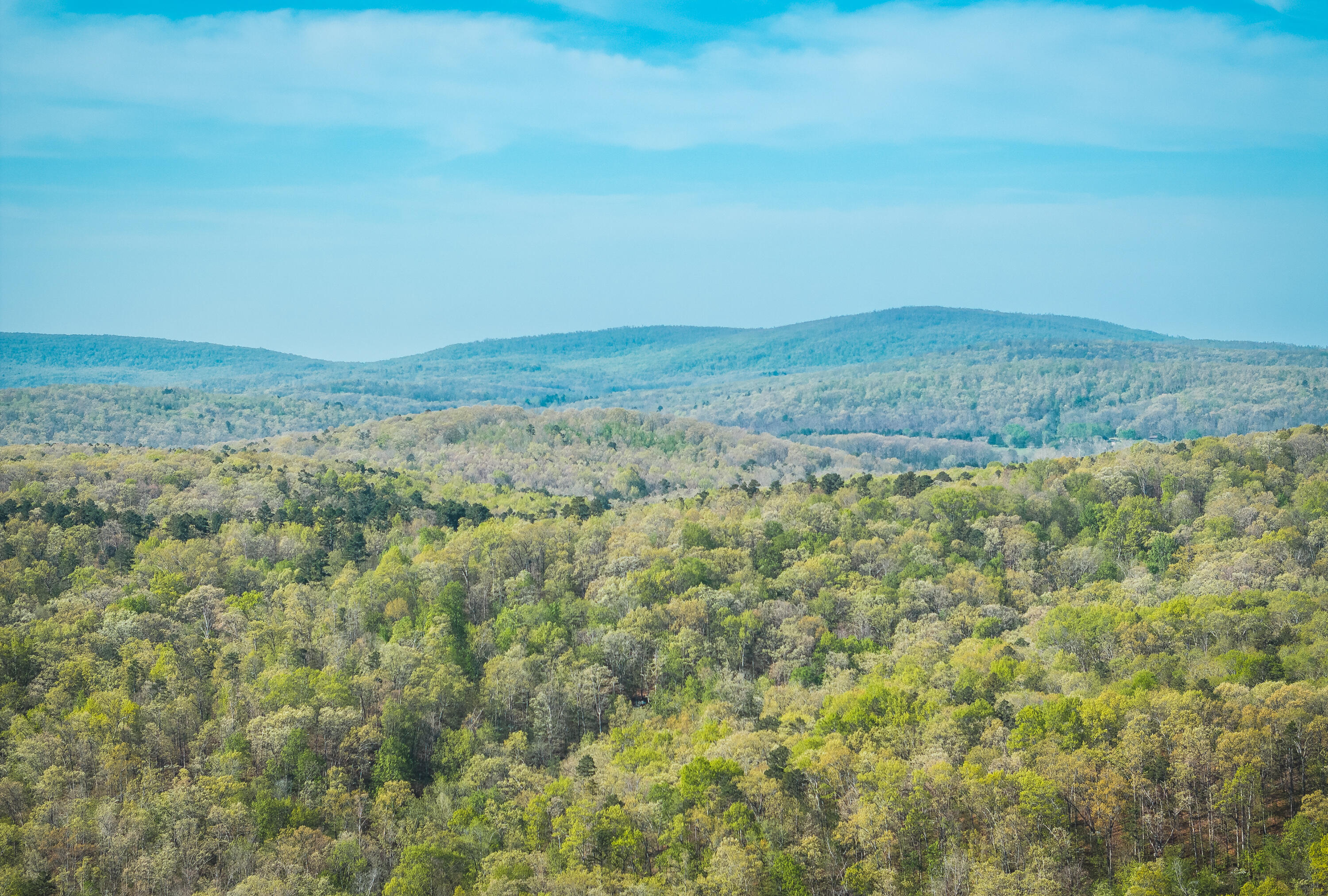 Photo 9 - Land for sale – 260  Kentucky Derby Lane  Arcadia, MO
